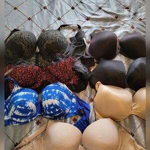 Elegant Women's Lane Bryant Bras